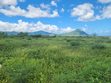 Residential Land