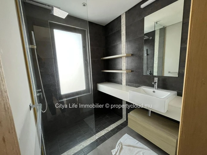 Luxury 2-bedroom apartment for rent in Choisy-les-Bain