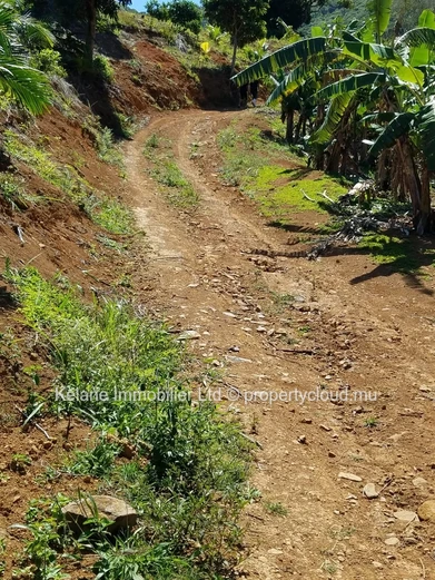 13.38 Arpents of Land for Sale | Anse Jonchée | Grand Port