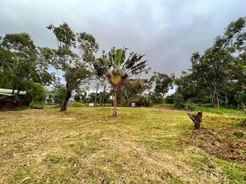 Land