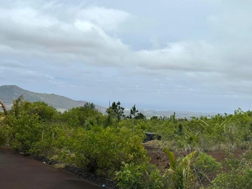 Agricultural Land