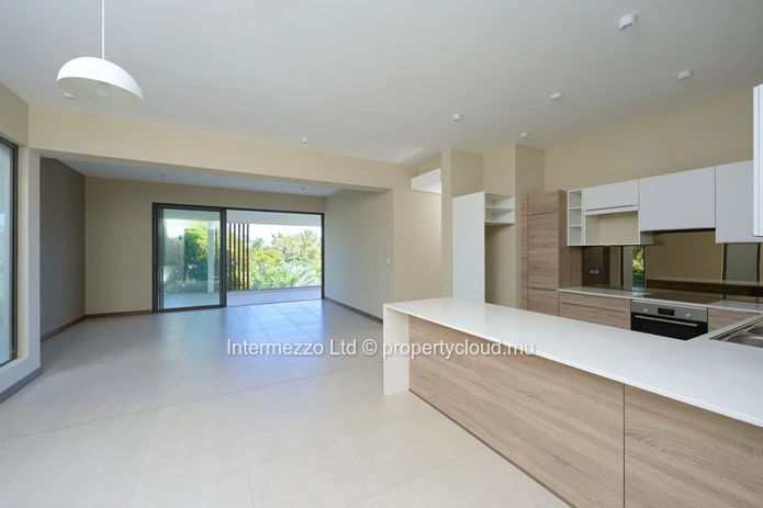 partment Private Rooftop Pool Pointe aux Canonniers | 650000 USD