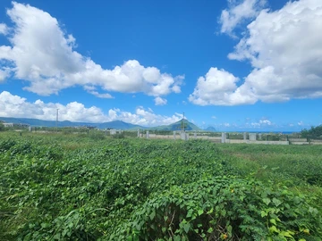 Residential Land