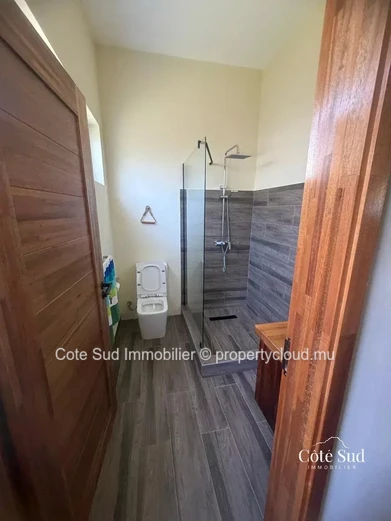 For Rent – Magnificent spacious house with a pool