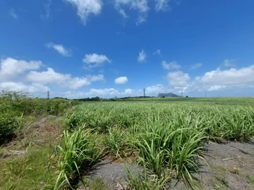 Commercial Land