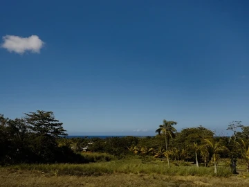 Residential Land