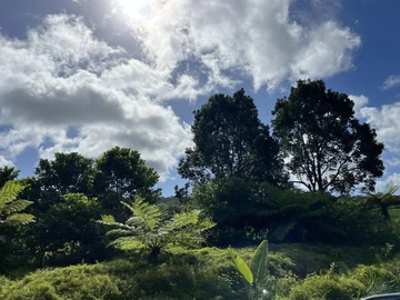 Residential Land
