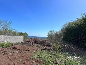Land