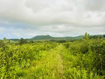 Agricultural Land