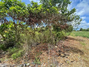 Residential Land