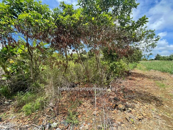 Terrain résidentiel de 1506,52 m² 