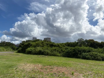 Commercial Land