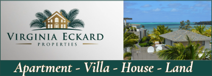 Virginia Eckard Properties