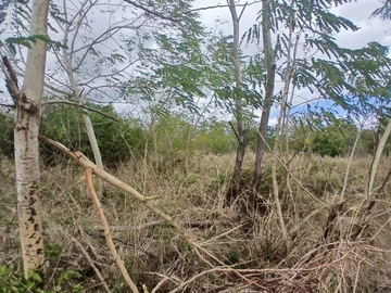 Commercial Land