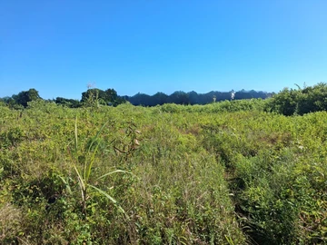 Agricultural Land
