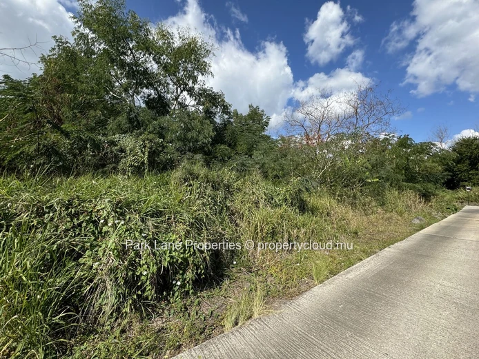 Discover your potential plot for project in Black River 