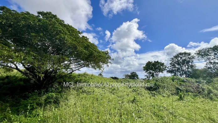 Daruty Forest Charmoses — Magnificent plot nestled in a preserved and secure natural environment