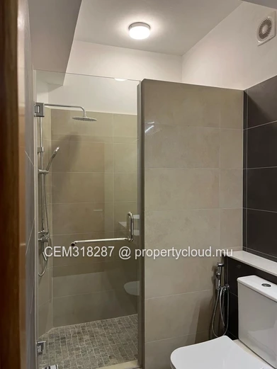 Magnifique appartement flambant neuf de 3 chambres à louer à Rose Hill