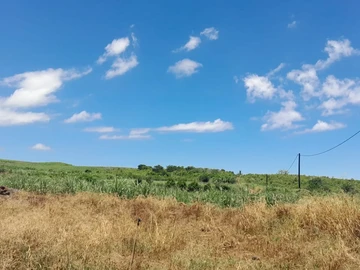 Agricultural Land