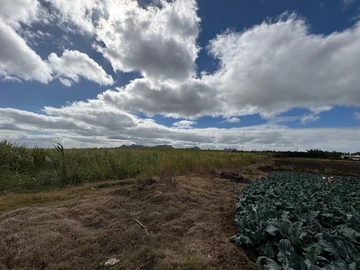 Terrain Commercial