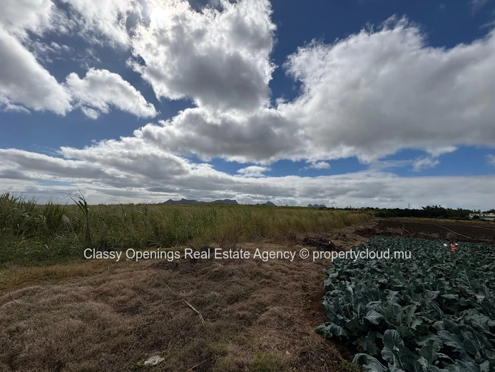 2110 m² Phoenix Commercial Land — Mountain Views, Near Bus & Shops