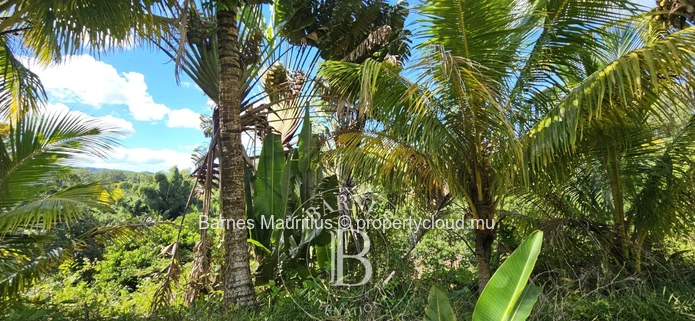 2 Bras - Terrain Agricole - 31 Arpents