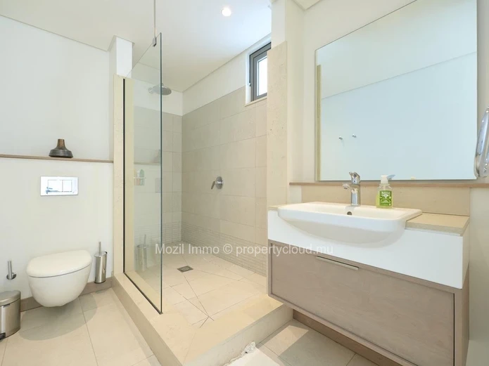 Magnifique  Penthouse au Parc de Mont Choisy 