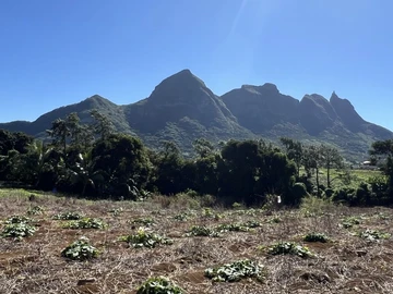 Agricultural Land