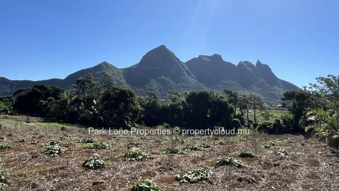 Terrain agricole avec vue panoramique sur les montagnes – L’Avenir