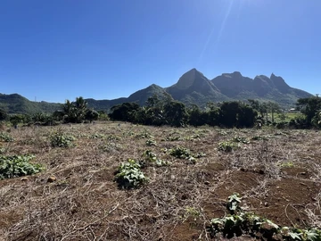 Agricultural Land