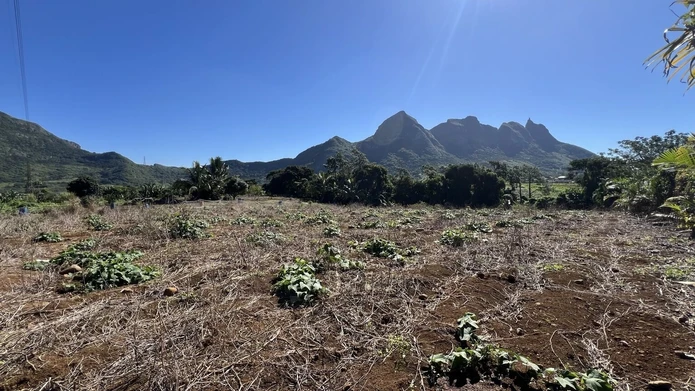 Terrain agricole avec vue panoramique sur les montagnes – L’Avenir