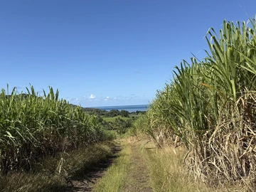 Agricultural Land