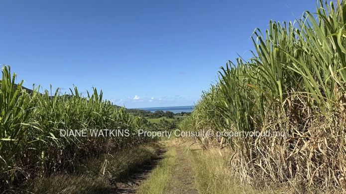 Terrain de 12 580 m² avec vue sur la montagne à vendre à Anse Jonchée, île Maurice | Opportunité éco-responsable et a...