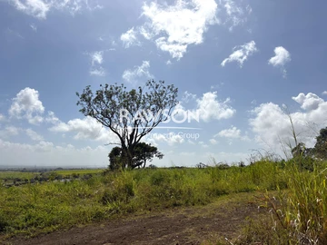 Residential Land