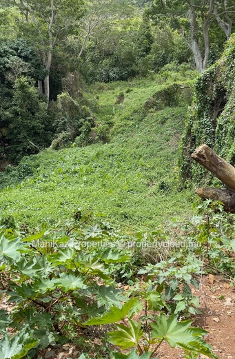 Premium Residential Land For Sale – Near Le Bocage, Mount Ory, Moka.