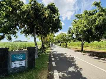 Land