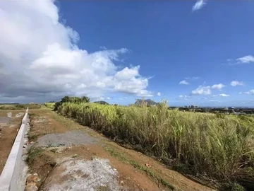 Agricultural Land