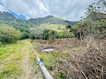 Terrain Agricole