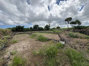 Agricultural Land