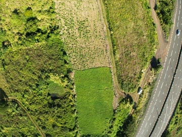 Terrain Agricole