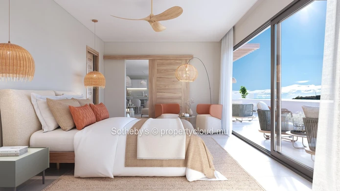 Coconut Luxury