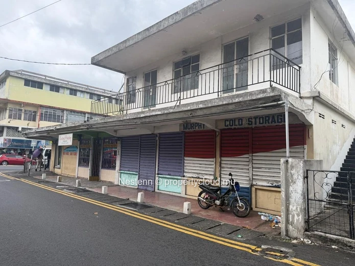 Charming Mixed-Use Property with Exceptional Potential