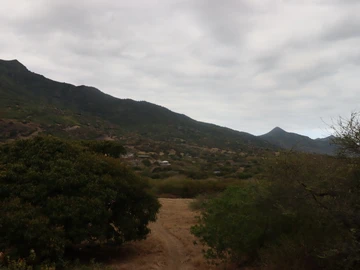 Residential Land