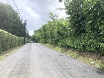 Residential Land