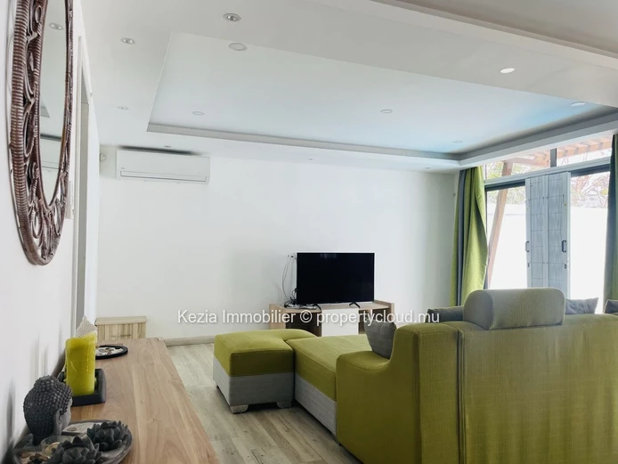 Contemporary single-story house