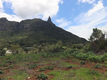 Residential Land
