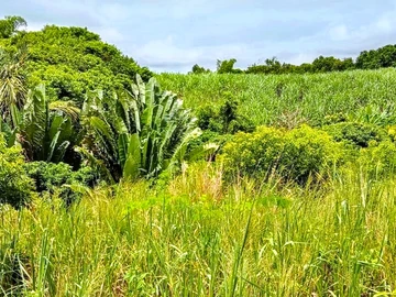 Residential Land For Sale In Pont Praslin
