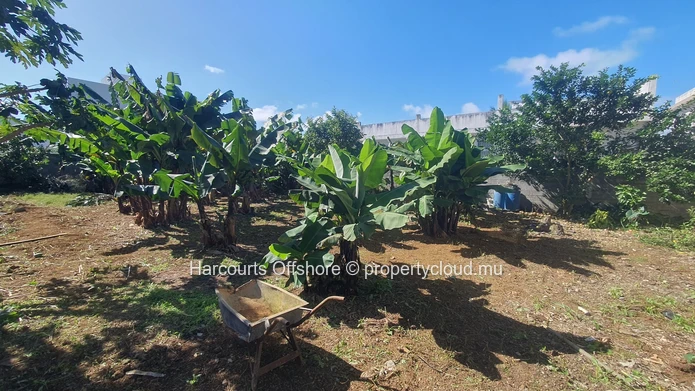 Terrain 514 m² à St Pierre – bananiers, vue montagne, proche bus