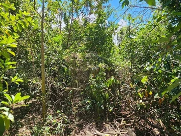 Residential Land