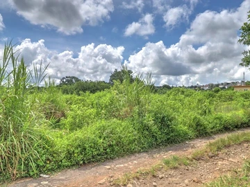 Residential Land